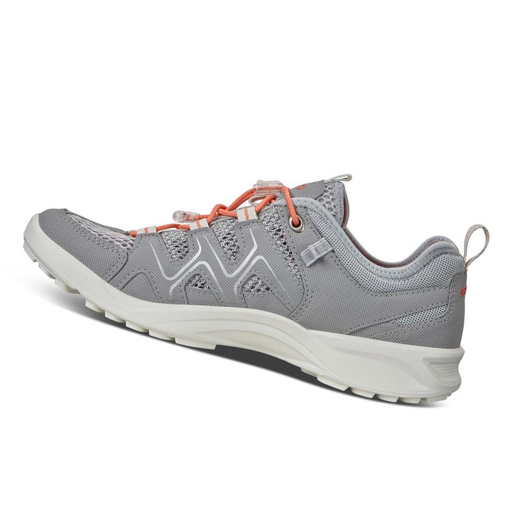 Women's Ecco Terracruise Lt Outdoor Hiking & Trail Silver / Grey | USA 149ZUT